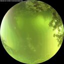 ./images/calvert/underwater/20260618/underwater20260618_113501M.jpg