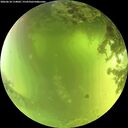 ./images/calvert/underwater/20260618/underwater20260618_114001M.jpg