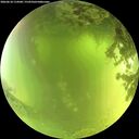 ./images/calvert/underwater/20260618/underwater20260618_114501M.jpg