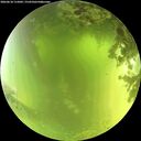./images/calvert/underwater/20260618/underwater20260618_115001M.jpg
