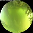 ./images/calvert/underwater/20260618/underwater20260618_120501M.jpg