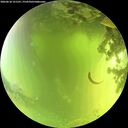 ./images/calvert/underwater/20260618/underwater20260618_121501M.jpg