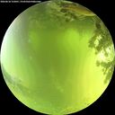 ./images/calvert/underwater/20260618/underwater20260618_122001M.jpg