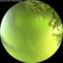 ./images/calvert/underwater/20260618/underwater20260618_123002M.jpg