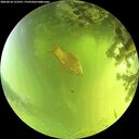 ./images/calvert/underwater/20260618/underwater20260618_123501M.jpg