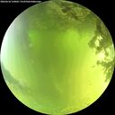 ./images/calvert/underwater/20260618/underwater20260618_124002M.jpg