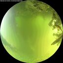 ./images/calvert/underwater/20260618/underwater20260618_124501M.jpg