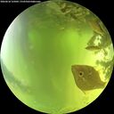 ./images/calvert/underwater/20260618/underwater20260618_125002M.jpg