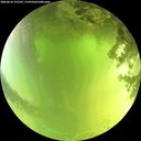 ./images/calvert/underwater/20260618/underwater20260618_125501M.jpg