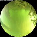 ./images/calvert/underwater/20260618/underwater20260618_130001M.jpg