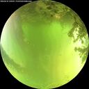 ./images/calvert/underwater/20260618/underwater20260618_130501M.jpg