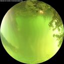 ./images/calvert/underwater/20260618/underwater20260618_131001M.jpg