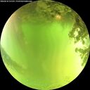 ./images/calvert/underwater/20260618/underwater20260618_131501M.jpg