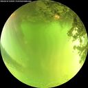 ./images/calvert/underwater/20260618/underwater20260618_132001M.jpg