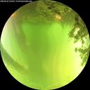 ./images/calvert/underwater/20260618/underwater20260618_132501M.jpg