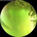 ./images/calvert/underwater/20260618/underwater20260618_133001M.jpg