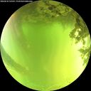 ./images/calvert/underwater/20260618/underwater20260618_133501M.jpg