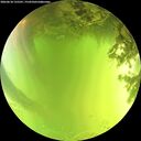 ./images/calvert/underwater/20260618/underwater20260618_135501M.jpg