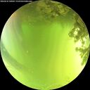 ./images/calvert/underwater/20260618/underwater20260618_140002M.jpg