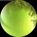 ./images/calvert/underwater/20260618/underwater20260618_140501M.jpg