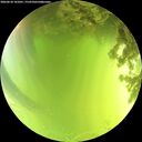 ./images/calvert/underwater/20260618/underwater20260618_141001M.jpg