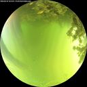 ./images/calvert/underwater/20260618/underwater20260618_141501M.jpg