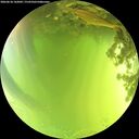 ./images/calvert/underwater/20260618/underwater20260618_142002M.jpg