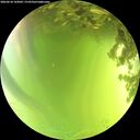 ./images/calvert/underwater/20260618/underwater20260618_143001M.jpg