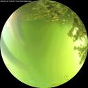 ./images/calvert/underwater/20260618/underwater20260618_143502M.jpg