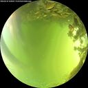./images/calvert/underwater/20260618/underwater20260618_144002M.jpg