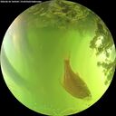 ./images/calvert/underwater/20260618/underwater20260618_144502M.jpg
