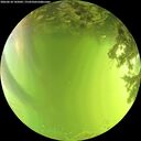 ./images/calvert/underwater/20260618/underwater20260618_145001M.jpg