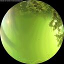 ./images/calvert/underwater/20260618/underwater20260618_145501M.jpg