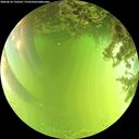 ./images/calvert/underwater/20260618/underwater20260618_150502M.jpg