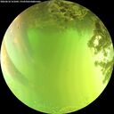 ./images/calvert/underwater/20260618/underwater20260618_151001M.jpg