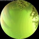 ./images/calvert/underwater/20260618/underwater20260618_151501M.jpg