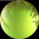 ./images/calvert/underwater/20260618/underwater20260618_152001M.jpg