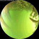 ./images/calvert/underwater/20260618/underwater20260618_152501M.jpg