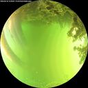 ./images/calvert/underwater/20260618/underwater20260618_153001M.jpg
