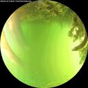 ./images/calvert/underwater/20260618/underwater20260618_154002M.jpg