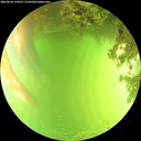 ./images/calvert/underwater/20260618/underwater20260618_154501M.jpg