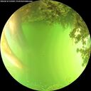 ./images/calvert/underwater/20260618/underwater20260618_155001M.jpg