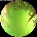 ./images/calvert/underwater/20260618/underwater20260618_155501M.jpg