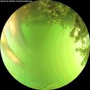 ./images/calvert/underwater/20260618/underwater20260618_160001M.jpg