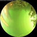 ./images/calvert/underwater/20260618/underwater20260618_160501M.jpg