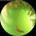 ./images/calvert/underwater/20260618/underwater20260618_161001M.jpg