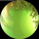 ./images/calvert/underwater/20260618/underwater20260618_161501M.jpg