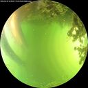 ./images/calvert/underwater/20260618/underwater20260618_163002M.jpg