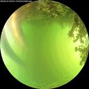 ./images/calvert/underwater/20260618/underwater20260618_163501M.jpg