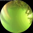 ./images/calvert/underwater/20260618/underwater20260618_164002M.jpg